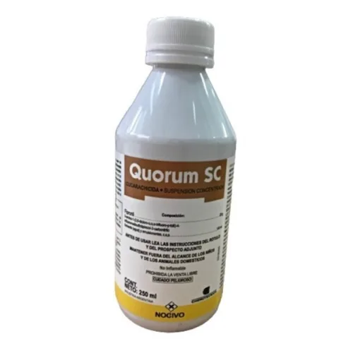QUORUM x 250 CC