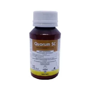 Quorum 50cc