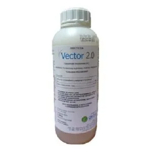 Vector 2.0