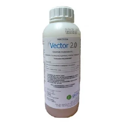 Vector 2.0