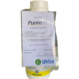 Punto 35