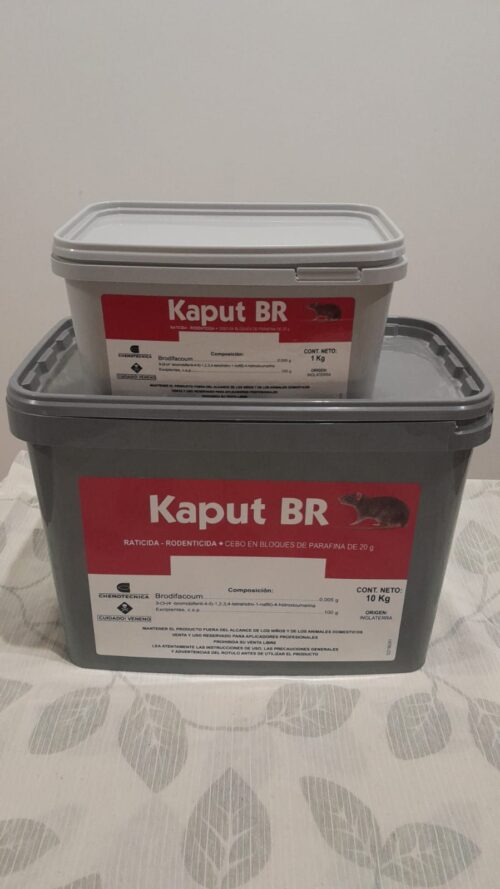 Kaput BR - Imagen 2