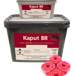 Kaput BR