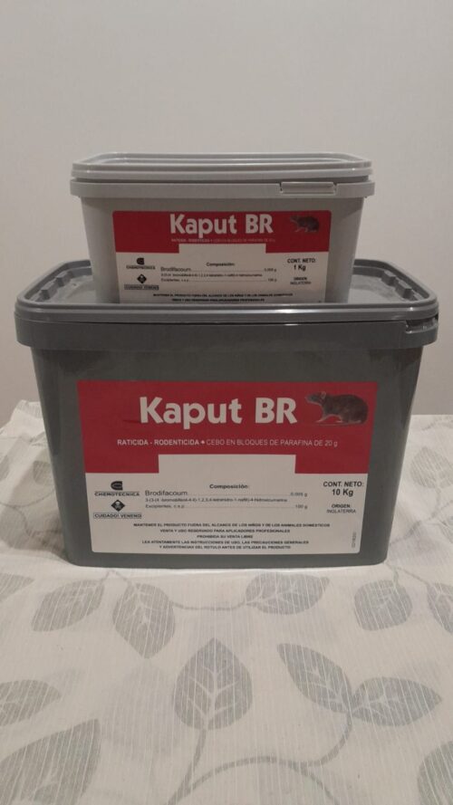 Kaput BR - Imagen 5